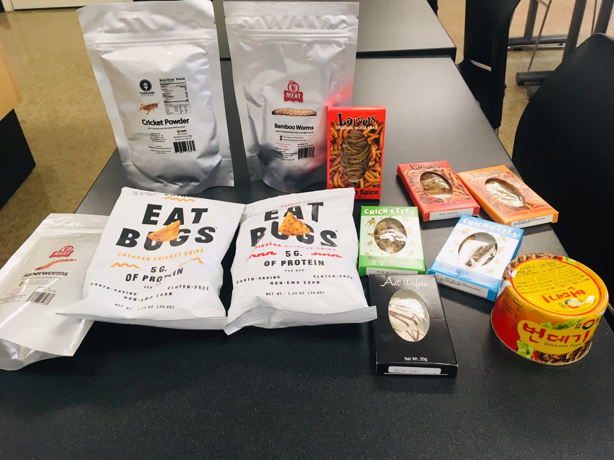 APSUeduc's tweet photo. Who doesn’t want to talk about eating bugs during lunch? #ruralscience #3Dscience @ScienceShorts3D @DonSudbrink @APSUCoSTEM https://t.co/tpwPU5f4Aw