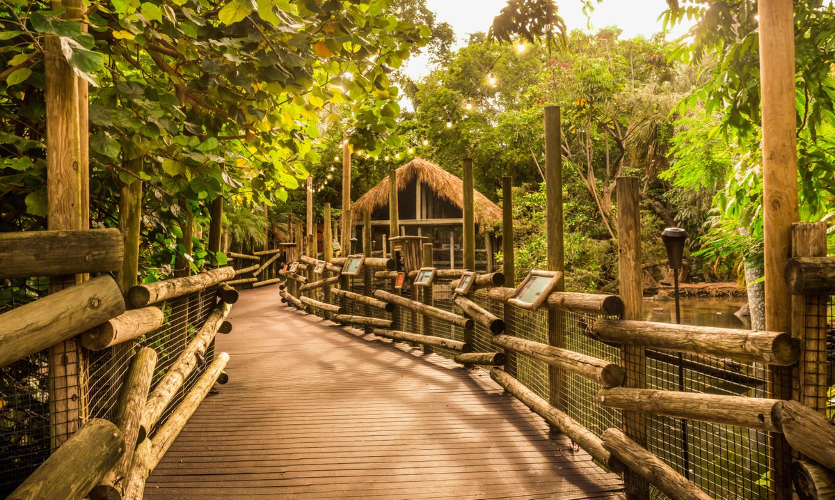 Palm Beach Zoo At Palmbeachzoo Twitter