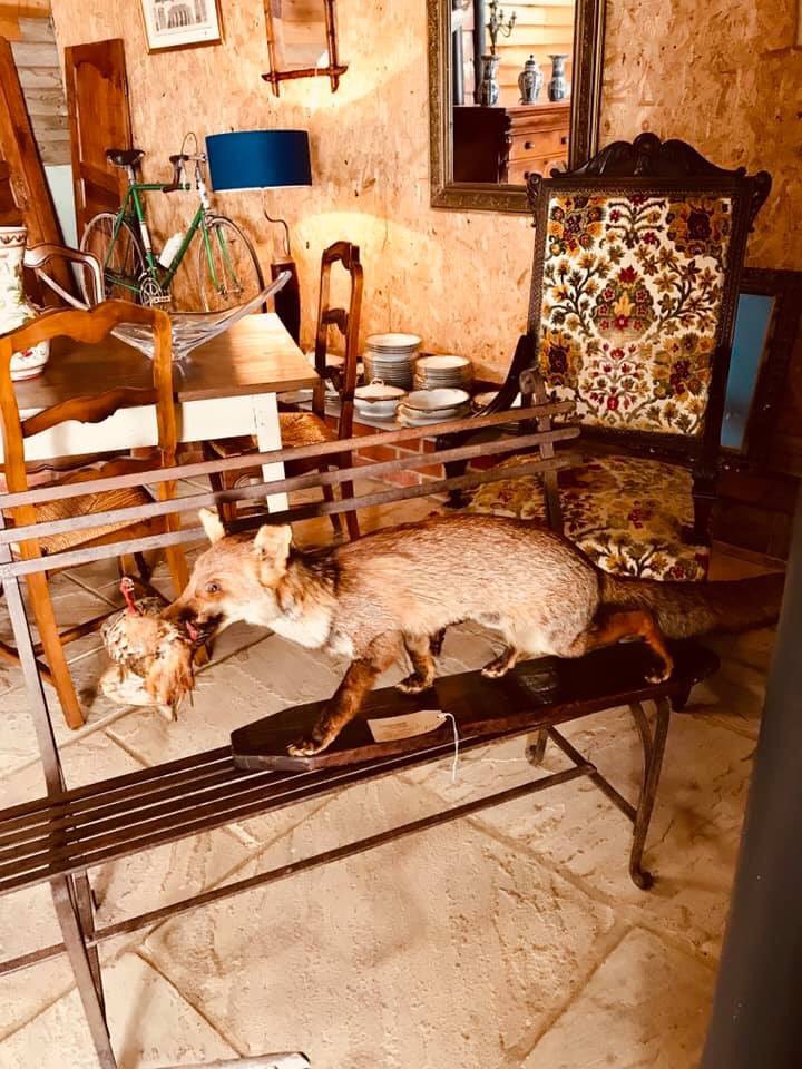 Clara_Bowe's tweet photo. #French area has been stocked up today. #clarabowe #loveyourvintage https://t.co/ryrfbZWYmj