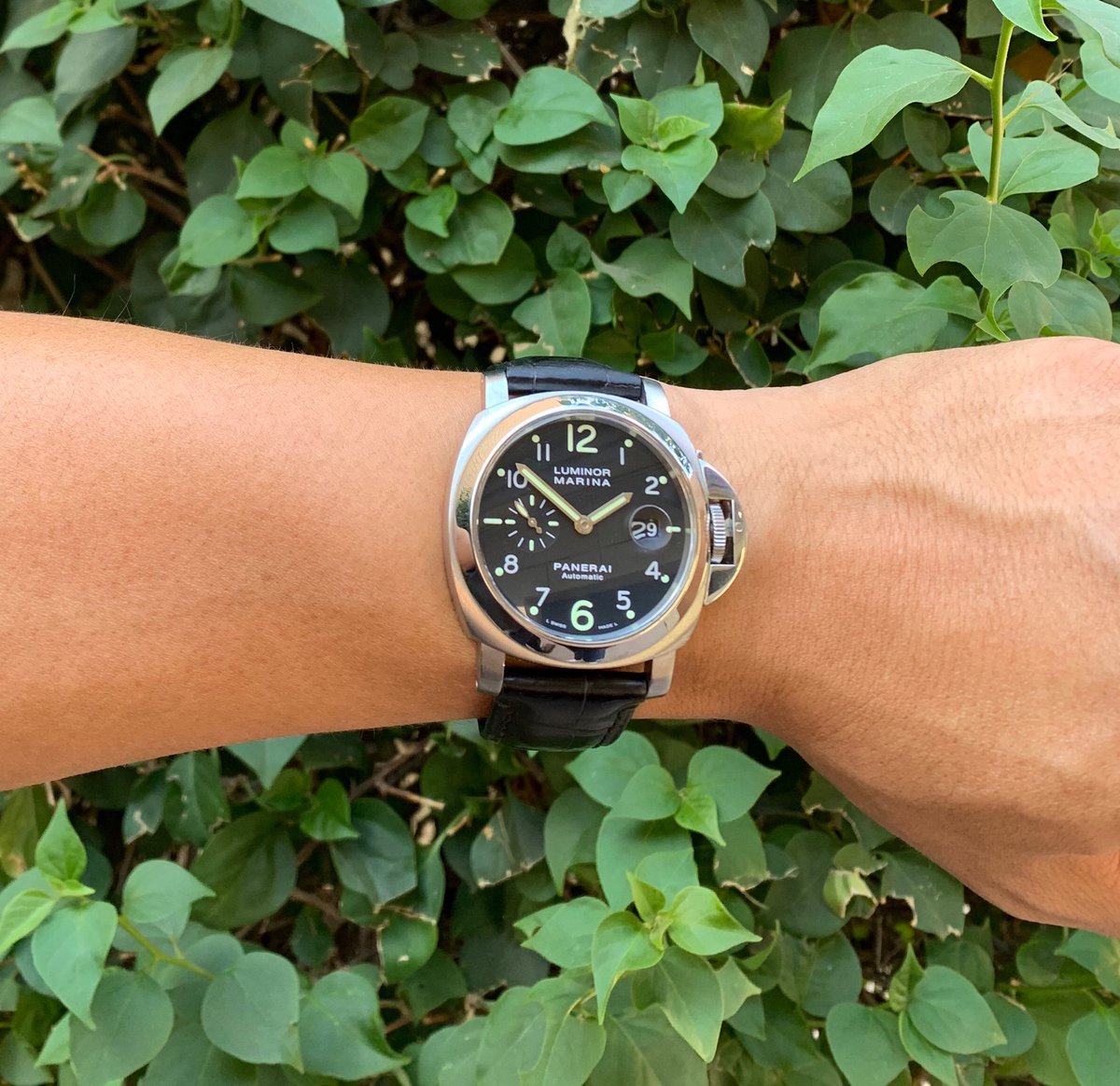 watchlinkaz's tweet photo. Panerai Perfect π€© #shopwatchlink #shopwatches #panerai #luminormarina #panerailuminormarina #statementwatches #wristcandy #summerstyle https://t.co/J8oi3pT7Fb