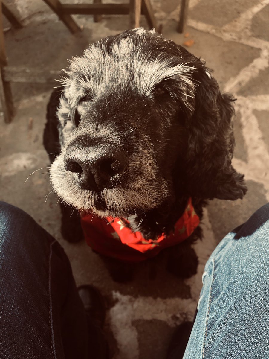 JudithNutter1's tweet image. Dear Doris, Hope you are looking forward to Blackpool. I’m planning a quiet night in with Nana whilst Mummy and Daddy act daft. Please feel free to join us. Tea is at 5 sharp and there will be a light supper at 9. Love from Harry Brown 💕@DorisMcGedge @weddingpresent