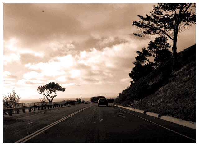 richardgreenla's tweet photo. Golden Hour near the Coast 🔥 #skieshunter #bestsky #photographersofinstagram #photography_love #tree_shotz #streetz #morningmessage #treegram #roadout #snapshots #snapshot #skytree #naturallandscape #woodyplant #mornings #streetphotography #laphotographer #laphotographers https://t.co/NWhsaKCYiS