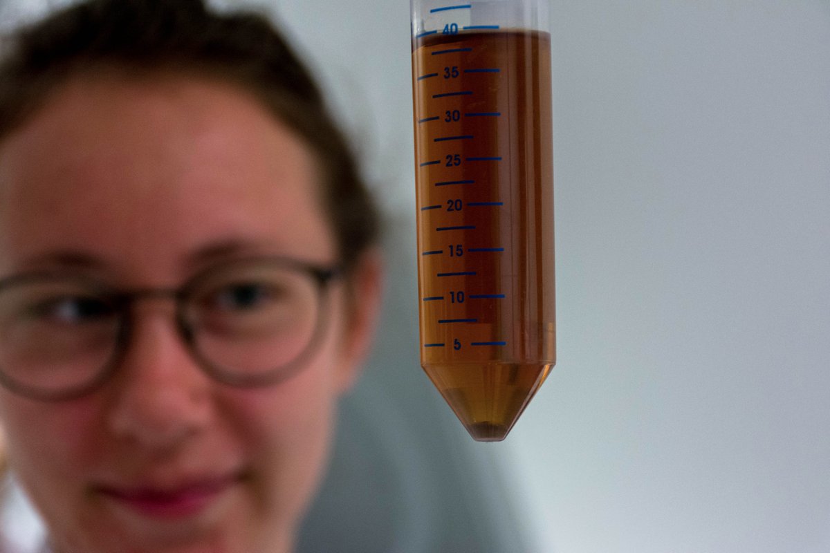 bebatut's tweet photo. The last 2 days were exciting: 1st #beerdecoded #outreach workshop where we extracted, sequenced and analyzed #yeast #beer #DNA with teenagers.
Thanks to the Street Science Community https://t.co/nFdo1RSfJL, @UniFreiburg, @MozillaScience & #usegalaxy #bioinformatics https://t.co/IIhMMCcvjJ