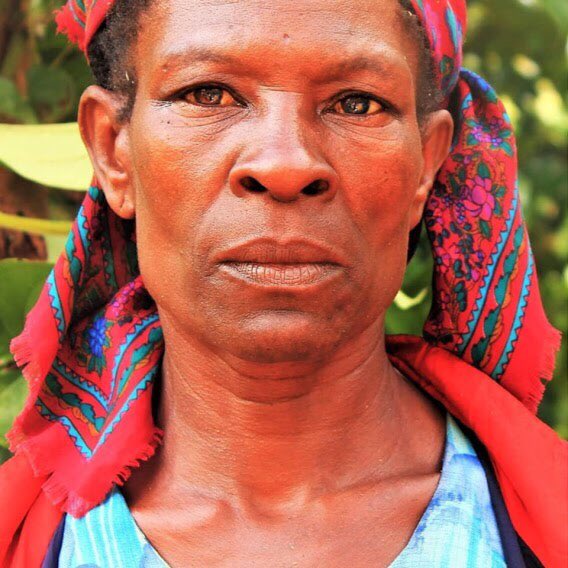VoyageCoffee's tweet photo. Introducing Haiti Blend! 🇭🇹 

Notes of creme brûlée, oatmeal cookie, and sweet tangerine. 

The Haitian beans are sourced from @haitiancoffee, a non-profit working to provide sustainable income for farmers. 
Meet the farmers &amp; shop now ➡️ https://t.co/z0yxkpYuK8
#yourcupmatters https://t.co/2mzsdDCGpb