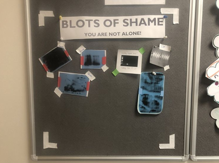 DNA&RNA Universe 𝕏 tweet media