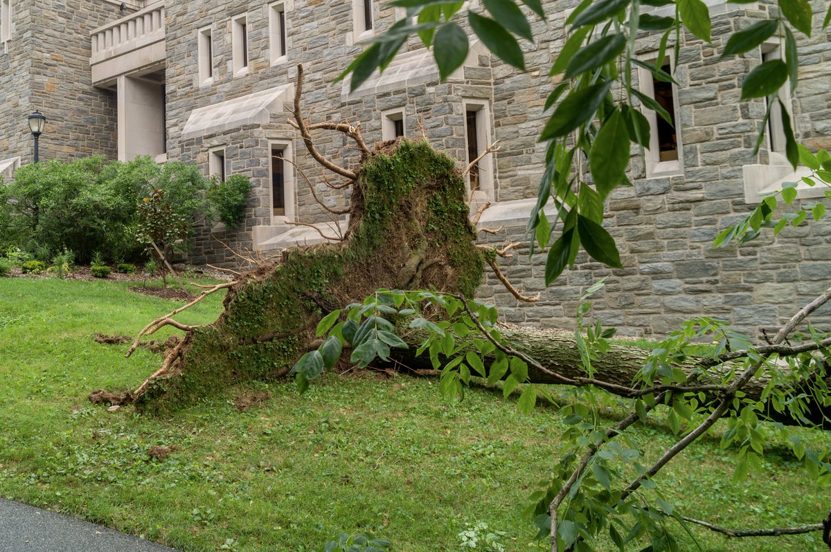 swarthmore's tweet photo. A sad day on campus as we discovered that last night's severe thunderstorms knocked down approximately 13 trees and significantly damaged many more. https://t.co/nX7DlNUdKU