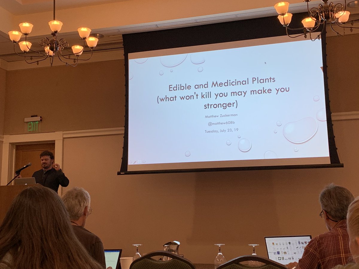 DanielFLeiva's tweet photo. @matthew608b on edible and medicinal plants in the wild! St John’s Wort for anxiety/depression? Echinacea or ginseng for colds. #WMScb19 @WildMedSociety https://t.co/9L5K69N00z