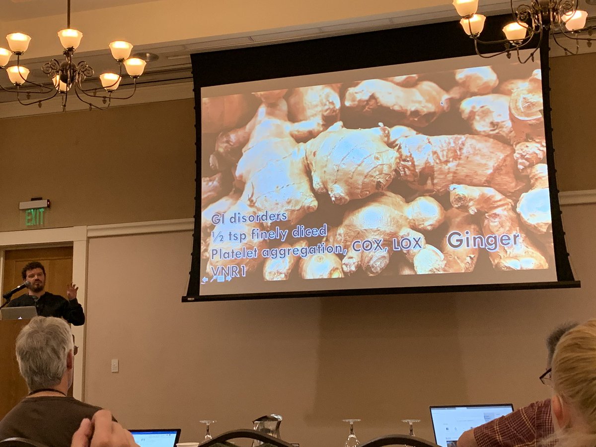 DanielFLeiva's tweet photo. @matthew608b on edible and medicinal plants in the wild! St John’s Wort for anxiety/depression? Echinacea or ginseng for colds. #WMScb19 @WildMedSociety https://t.co/9L5K69N00z