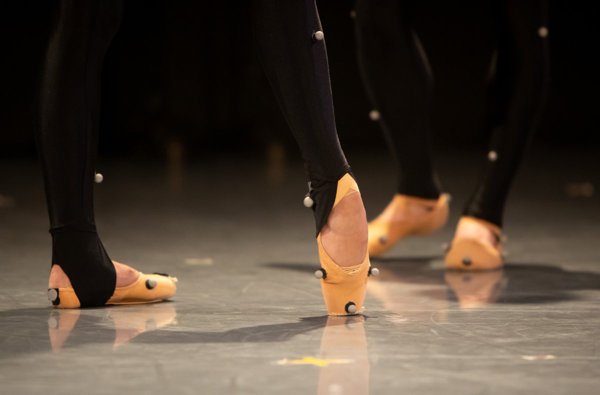 ISB-ASB 2019 (@isb_asb2019) on Twitter photo <a href="/ISB_ASB2019/">ISB-ASB 2019</a> will keep you on your toes with a symposium on dance biomechanics! In addition to talks, a performance using real-time biofeedback technologies and Calgary dancers will be featured during the closing banquet. <a href="/tealdark/">Teal Darkenwald</a> <a href="/AZaferiou/">Antonia Zaferiou, PhD</a> @chrisbknowlton @KMichaelRowley <a href="/ISB_ASB2019/">ISB-ASB 2019</a> will keep you on your toes with a symposium on dance biomechanics! In addition to talks, a performance using real-time biofeedback technologies and Calgary dancers will be featured during the closing banquet. <a href="/tealdark/">Teal Darkenwald</a> <a href="/AZaferiou/">Antonia Zaferiou, PhD</a> @chrisbknowlton @KMichaelRowley