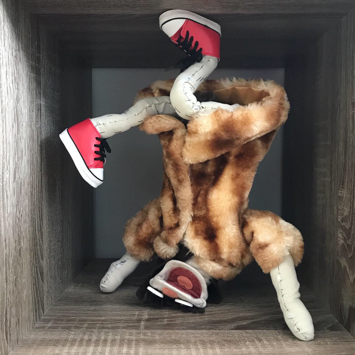 SockKasey's tweet image. Live your best life. ✌️😎🎈