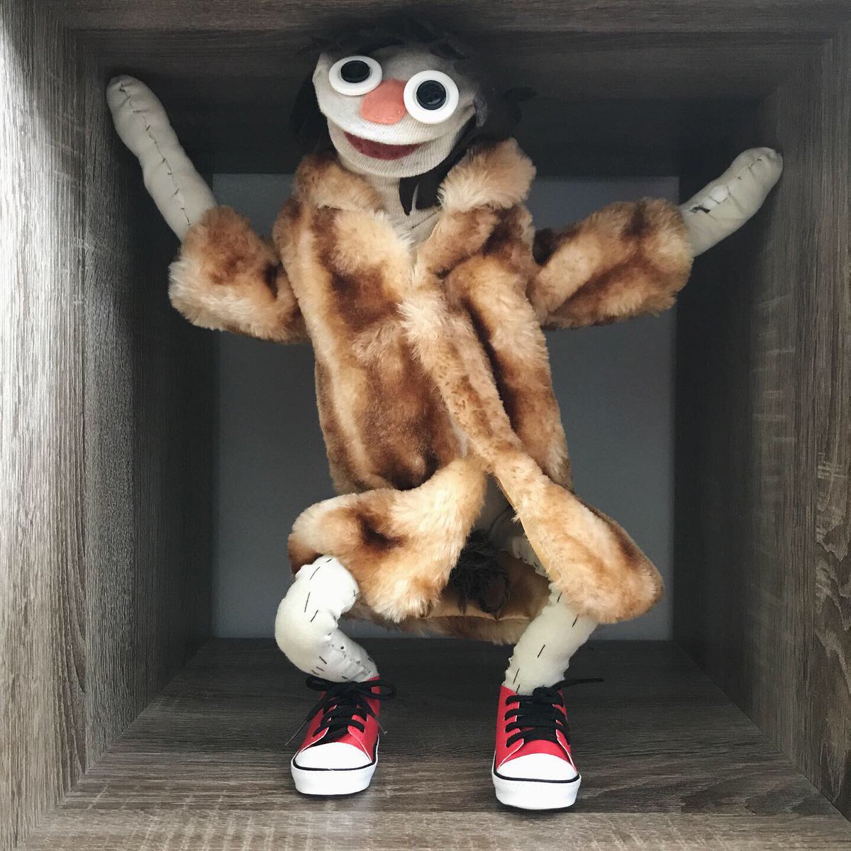 SockKasey's tweet image. Live your best life. ✌️😎🎈