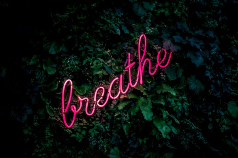 rlareau's tweet photo. My 100 days of @Calm: How a little app keeps the Internet from making me crazy https://t.co/zKs5AVcRSP @TamaraLevitt @NCRonline https://t.co/FNf5xtFtYl