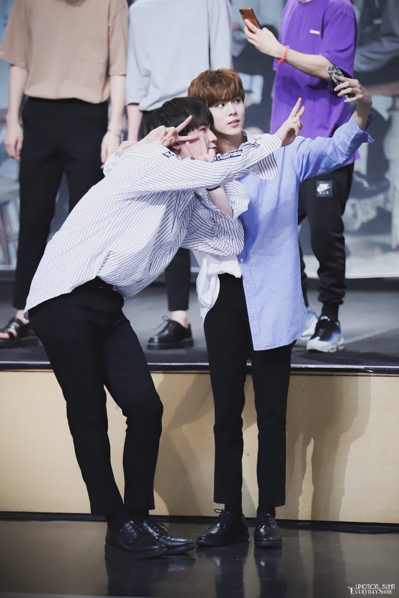 Release these selcas© NS95k