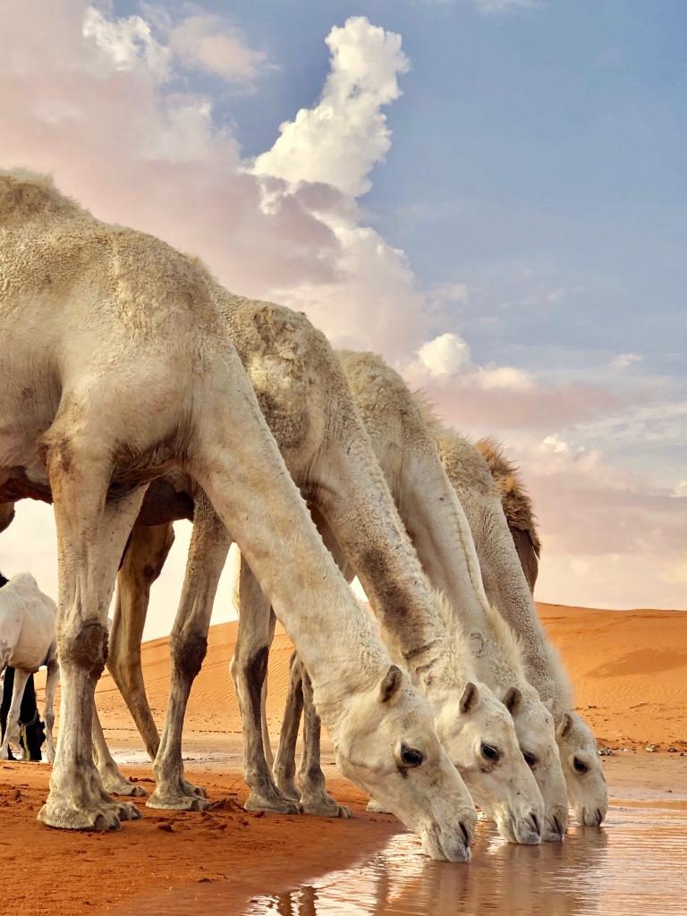 88Hommee's tweet photo. أجمل الكلام وخير الكلام ..

۞فَسُبْحَانَ اللهِ حِينَ تُمْسُونَ وَحِينَ تُصْبِحُونَ۞

سبحوه لتعيدوا الحياة لأرواحكم 🌹

#العلاوه_السنويه21 
.
. https://t.co/5M55WtLPR9