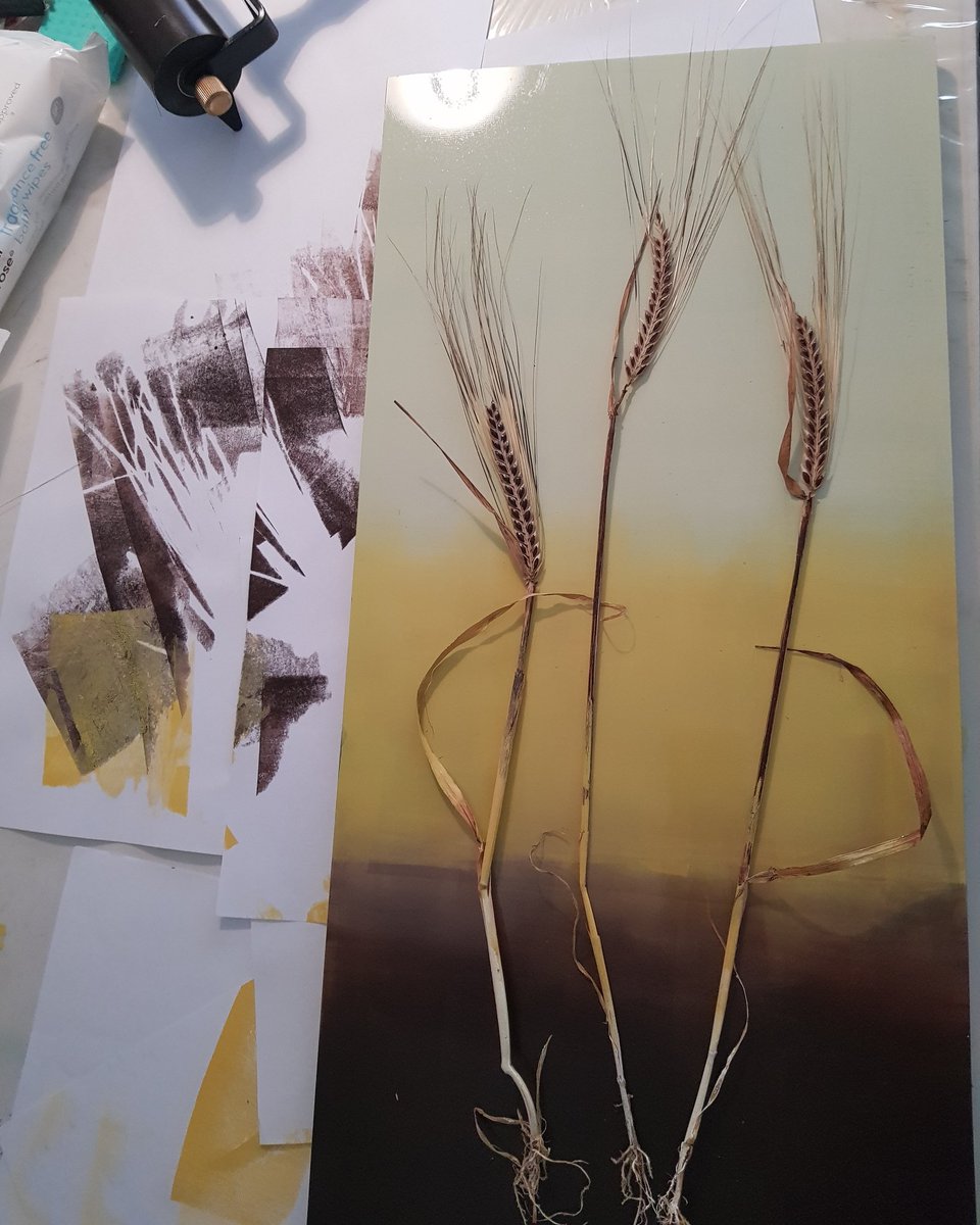 Ange Mullins tweet media