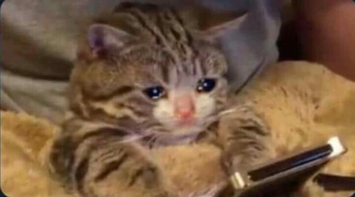 mi mood leyendo todos los tweets 

#9YearOfOneDirection