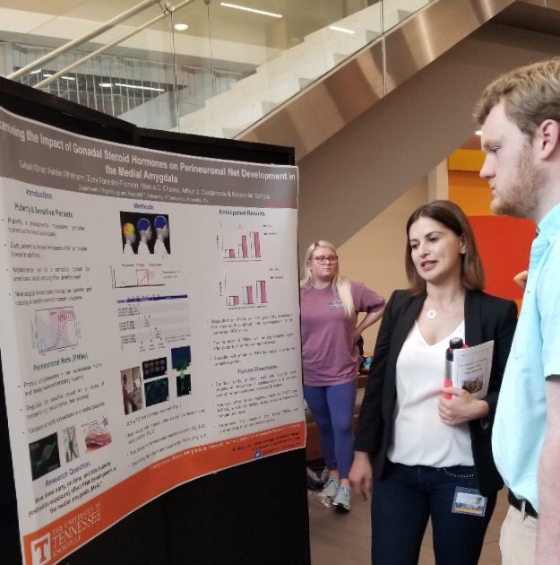 stateofSofi's tweet photo. Gonadal steroid hormones & PNNs...got good questions today! it was a wonderful poster session. #SchulzLab #Neurobiology #Neuroscience #psychology #MentalHealth #UTK #STEM #WomenInSTEM #WomenInScience #womeninmedicine @UgradResearch @UTKnoxville https://t.co/Oe8ZmSuUOt