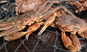 High Seas Alliance (@highseasallianc) on Twitter photo The <a href="/UN/">United Nations</a> has released the first draft of its new legally binding instrument for the #conservation of marine life in international #HighSeas waters, following the series of discussions that began in September last year. buff.ly/2KZ5Wte via @undercurrentnews #BBNJ #ABNJ The <a href="/UN/">United Nations</a> has released the first draft of its new legally binding instrument for the #conservation of marine life in international #HighSeas waters, following the series of discussions that began in September last year. buff.ly/2KZ5Wte via @undercurrentnews #BBNJ #ABNJ