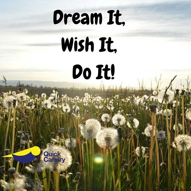 QuickCanary's tweet photo. What are you wishing for? 💛😎
.
.
.
#busymoms #busymomlife #momblogger #mombloggers #momblogging #organizedmommy #mom #planningmom #mommyplanner #mommylife #momstyle #momlife #mommy #busymomstyle #businessmom #busymomlifestyle #busymom #mommya… https://t.co/f8ofCtM5m1 https://t.co/ialvVlsXOj