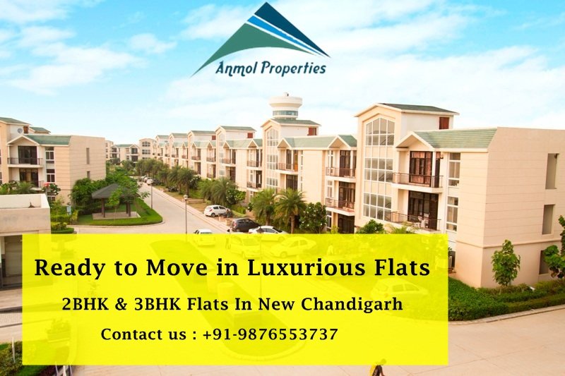 AnmolPropertie2's tweet photo. Are you ready to move to a luxurious flat with your family?

 Your space, your time. You have it all @AnmolPropertie2  !! 

Contact us : +91- 9876553737

 #realestate #luxurious #luxury #flats  #Omaxe #Omaxenewchandigarh #plotforsale #plotforsaleinchandigarh https://t.co/ebMpFxYXHU