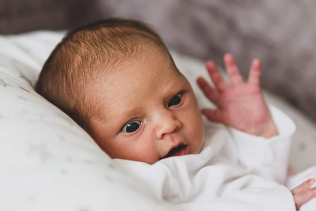 StreetTripleMat tweet media