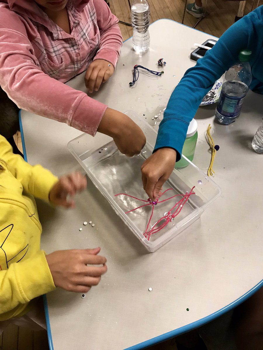 StaplesLabFluid's tweet photo. It’s always fun to talk about bugs 🐞🐜🕷🐛in the Science Girls camp at the @scimuseum organized by the fabulous @Shoestring_Sci! #smwv #GirlsInSTEM #bugs #entomology https://t.co/840IYs1qbz
