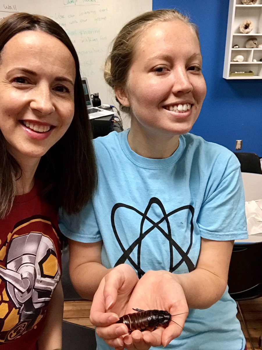 StaplesLabFluid's tweet photo. It’s always fun to talk about bugs 🐞🐜🕷🐛in the Science Girls camp at the @scimuseum organized by the fabulous @Shoestring_Sci! #smwv #GirlsInSTEM #bugs #entomology https://t.co/840IYs1qbz