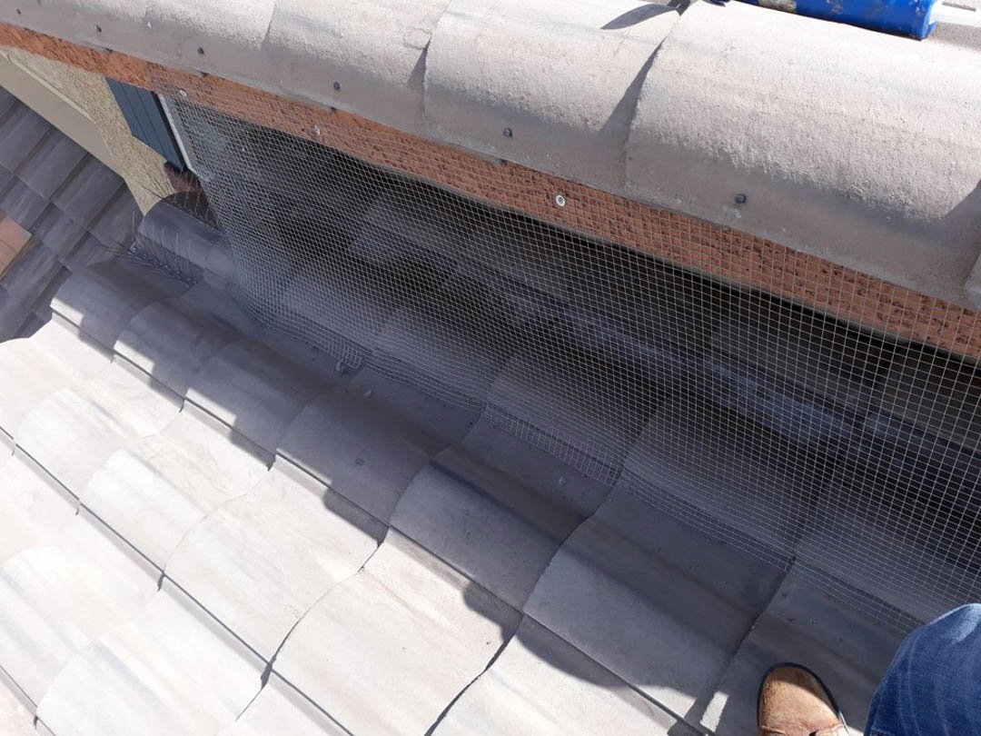 #PigeonControlServices at #PrestigePigeonService. At Prestige Pigeon Service, our pigeon control services include pigeon clean up, blocking crevices or habitable spots, and solar wrapping #PigeonRemoval #PigeonRemovalService #PigeonRemovalCompany #Nor ... http://bit.ly/2lyiX1h