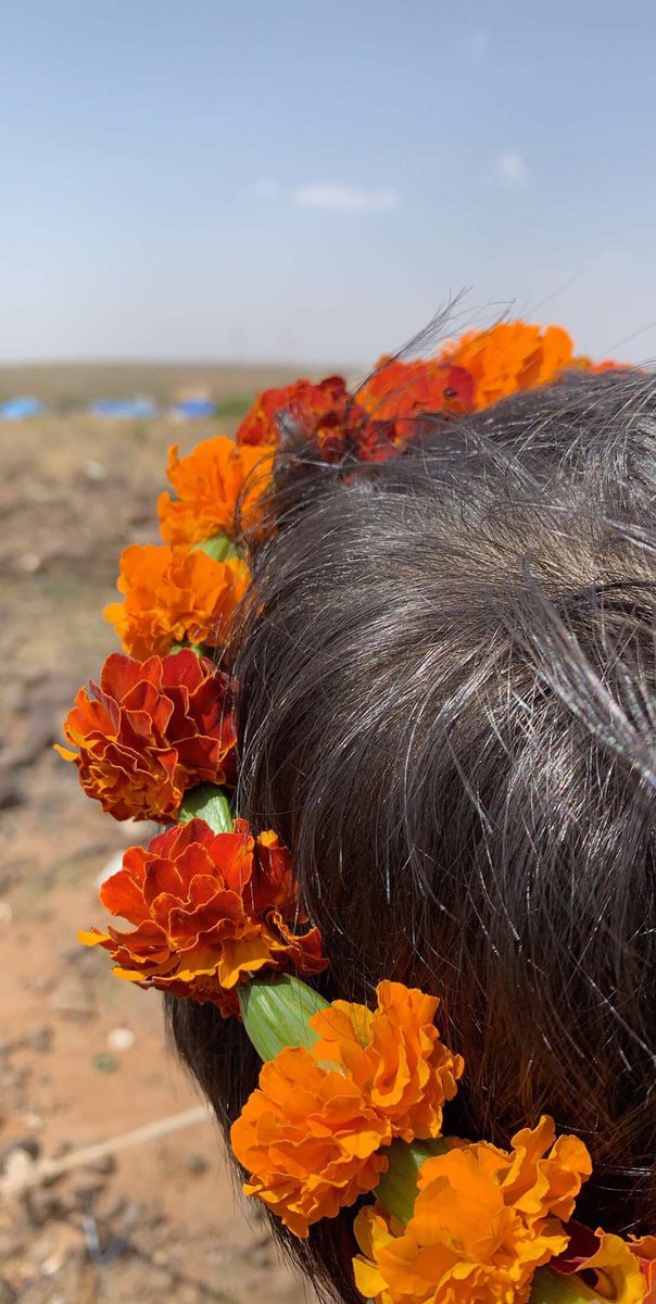 #سجع_جازان
ما انت كمثل امفل .. الكل يجنوك
أنت في بطن امشوك وامشوك فوقك
.
كنك ملك في وسط حراس يحموك
يصعب على قاطفك يمسك عذوقك