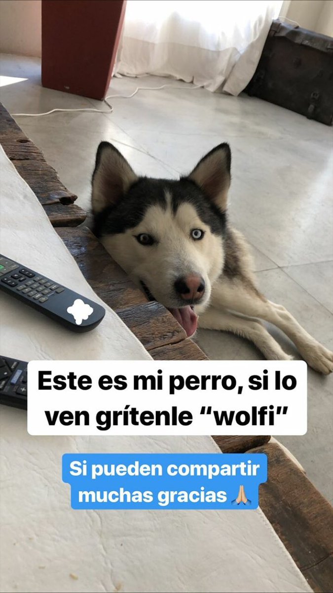 onlysellanes's tweet photo. ZONA DE PILAR🙏 difundan https://t.co/jIQ1sGnizr