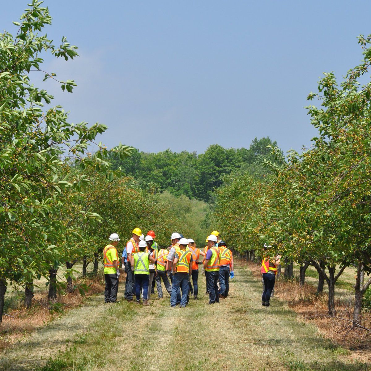 Call for Award Submissions: Remember to begin preparing for OSSGA's Industry Recognition Awards which promotes excellence in Community Relations, Progressive Rehabilitation, Biodiversity and more! Due Nov. 8. Learn more here: ossga.com/industry_recog…
#GravelFacts #GravelAwards