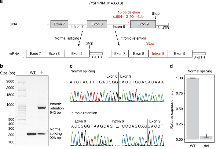 Researchers identify genetic cause of Liberfarb syndrome, a multiorgan disorder, and point to possible therapy #openaccess go.nature.com/2Swoult