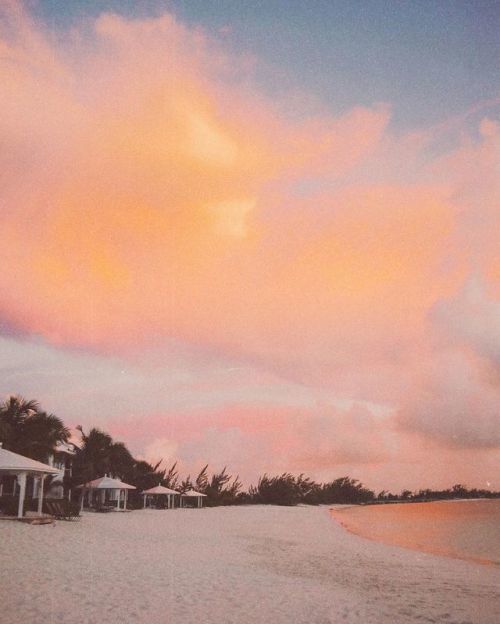 moustachic tweet media