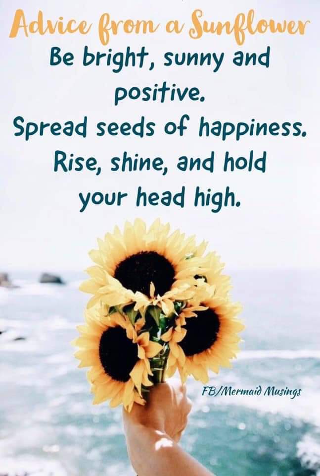 Kris10quigley's tweet image. #vcschamps