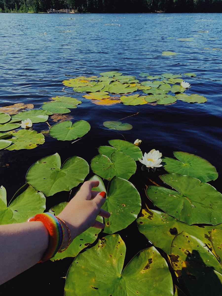voxel__bunny's tweet photo. What I enjoy the most about @VoxelMax is creative freedom it gives me. I’ve spent a day at the lake with my friend and a SUP board while still being able to create and relax while voxeling. I’ve tried at least 5 voxel apps for iOS, and so far #VoxelMax has truly been the best one https://t.co/sJuVmlEnb3