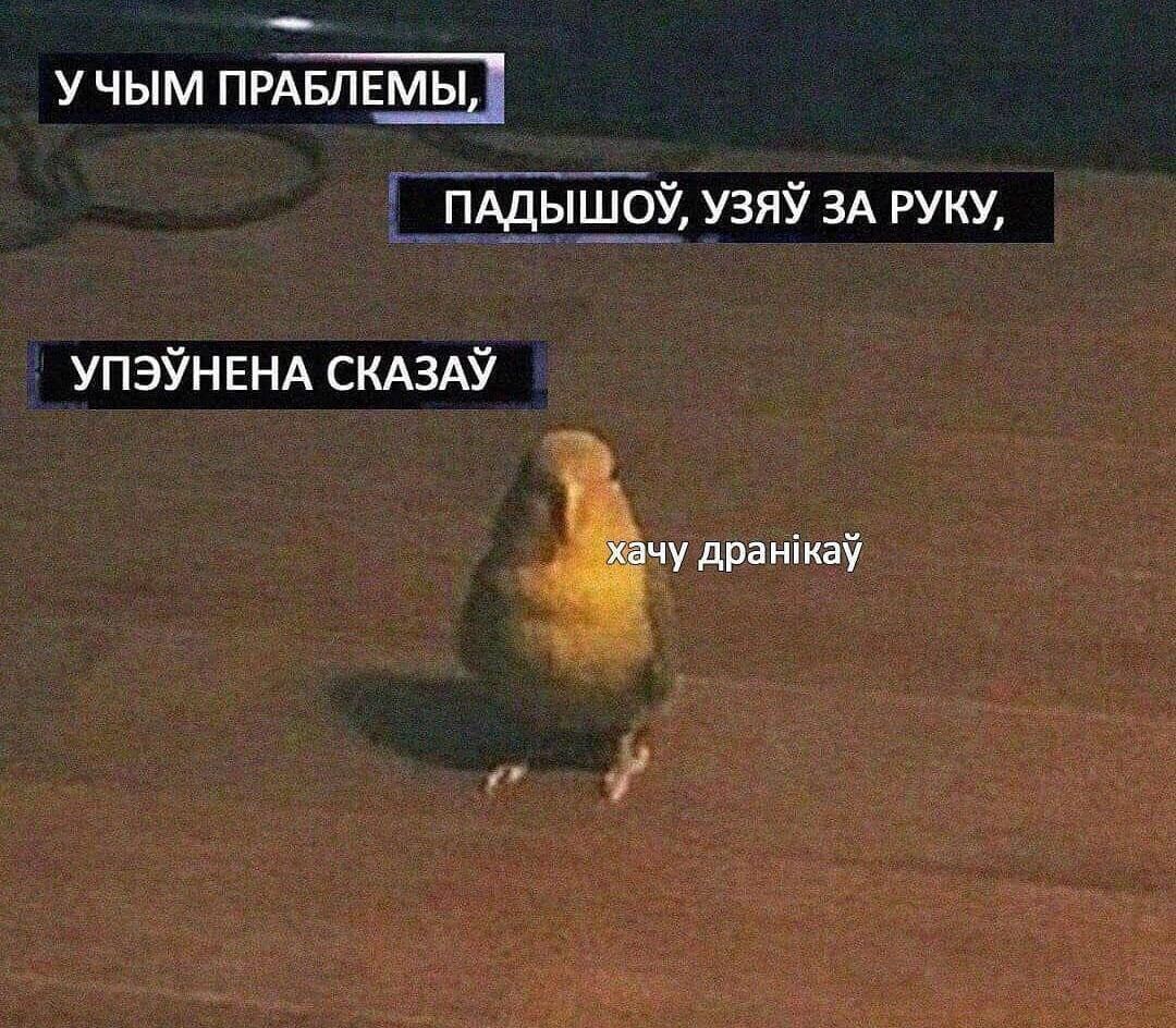 4chan (@rus_4chan) on Twitter photo 