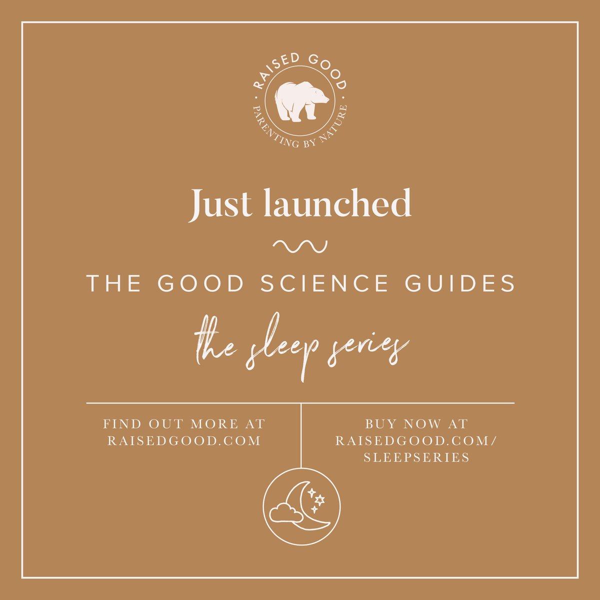 Tracy Gillett tweet media