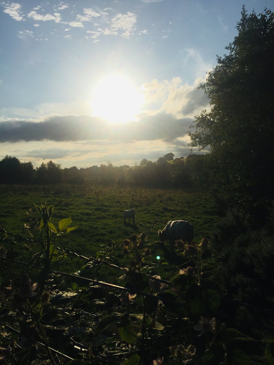 sara_utv's tweet image. Beautiful summer night for a run 🏃‍♀️ #getyoursweaton