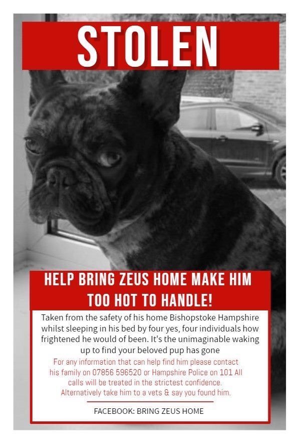 WaggyTailsResc's tweet photo. Stolen from Bishopstoke ๐พ
#BringZeusHome #Missingdog #Missingfrenchie #PleaseRetweet #StolenDog https://t.co/8oa6lpRJlP