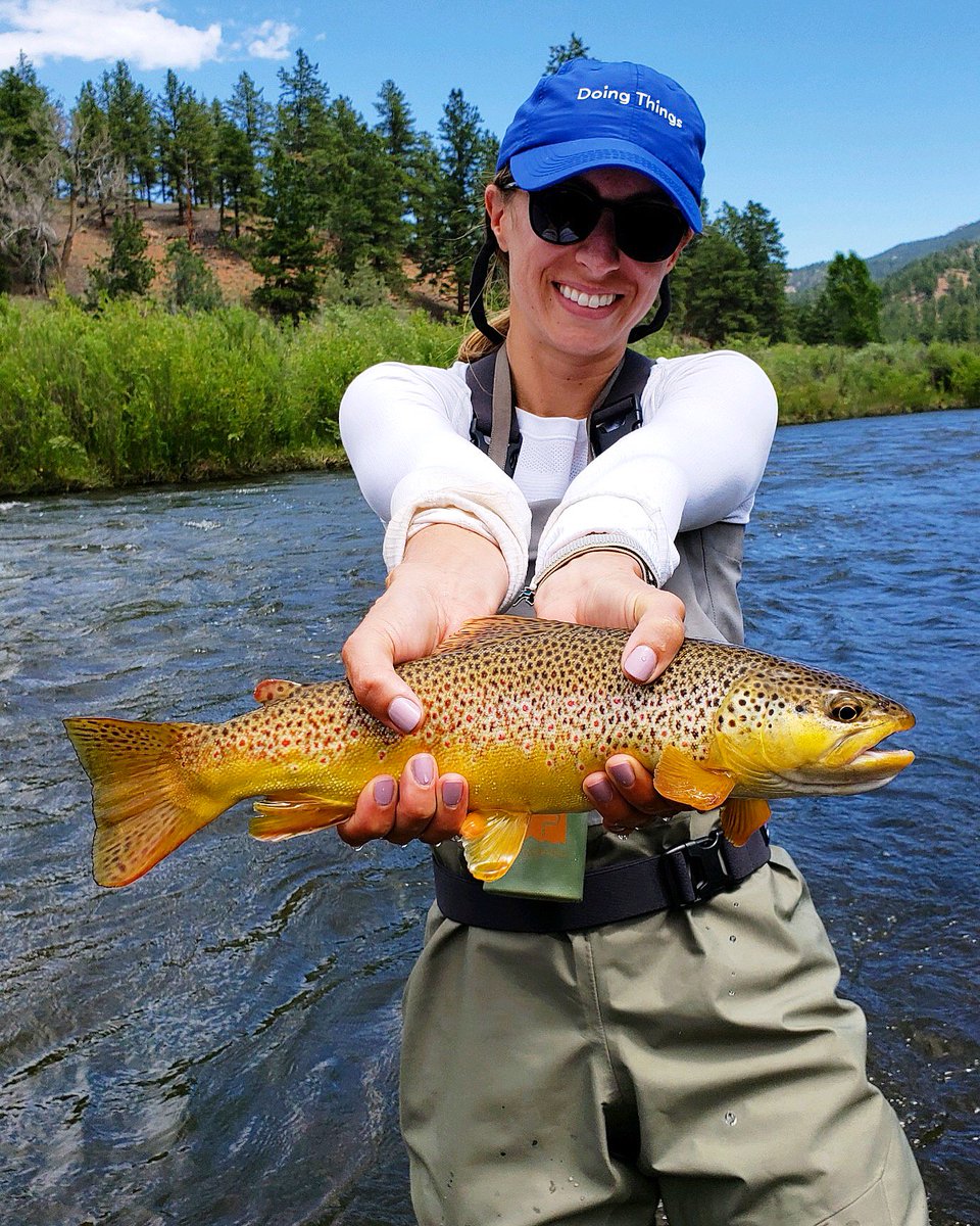 Uh.... BAM! 
The girls crushed it today! Perfect browns on a perfect day. ☀️ 
Guide: <a href="/trout_christy/">Christy Trout</a> 
#browniesontheriver #girlpower #womanguides #womanonthefly #minturnanglers #lonetreecolorado #minturncolorado
