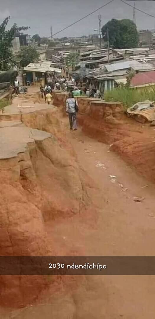 chibanda_s's tweet photo. @zanupf_patriots I shall not speech https://t.co/ujUZFKoWkK