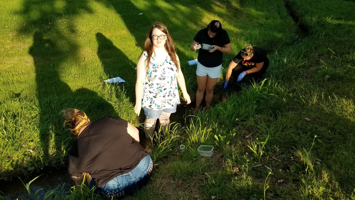 JAntonioScience's tweet photo. Stream macroinvertebrate survey at Cranberry Township Park tonight with the Environmental Biology students. Found a couple very large, well-fed leeches! 😯
@bc3edu
#streamecology #realworldscience https://t.co/T0gGyX5Pp5