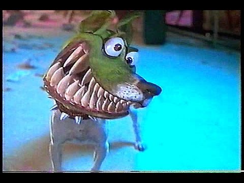 ミサキ うちの犬 何か気に入らないことがある Amp テンションmaxになると映画 マスク のマイロみたいな顔になるんだけど みんなのとこもそうなの T Co Tazgfxyqt7 Twitter