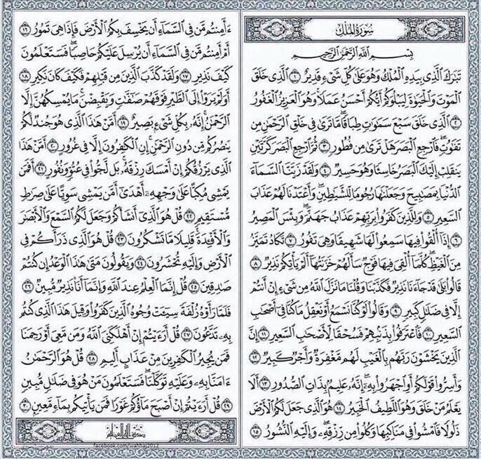 adadhh18's tweet photo. قراءة سورة الملك قبل النوم 💛🌿.
 #الجبال_تتصدع_من_كلام_الله https://t.co/rrDUOieLkw
