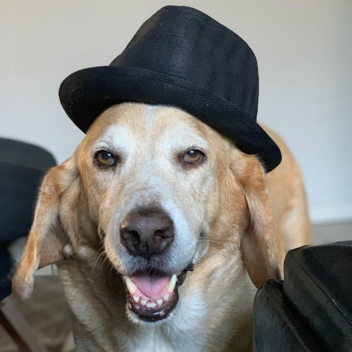 LitivateRep's tweet photo. Employees are family at Litivate - and behind many of them are awesome kids and pets. Every month, we introduce you to members of this workplace family. For July, we're honoring someone with full-grown "Littles," co-founder and principal, Erik Thorsnes: https://t.co/51nOmpF133 https://t.co/ZkuM1MzHwh
