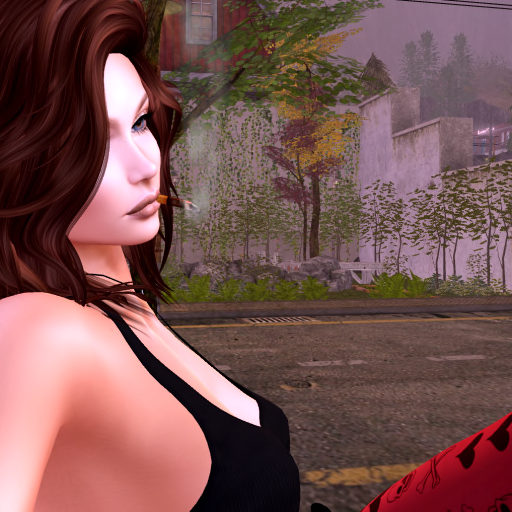 RandomPlayerCh1's tweet image. Taking some time out of the city 🌲