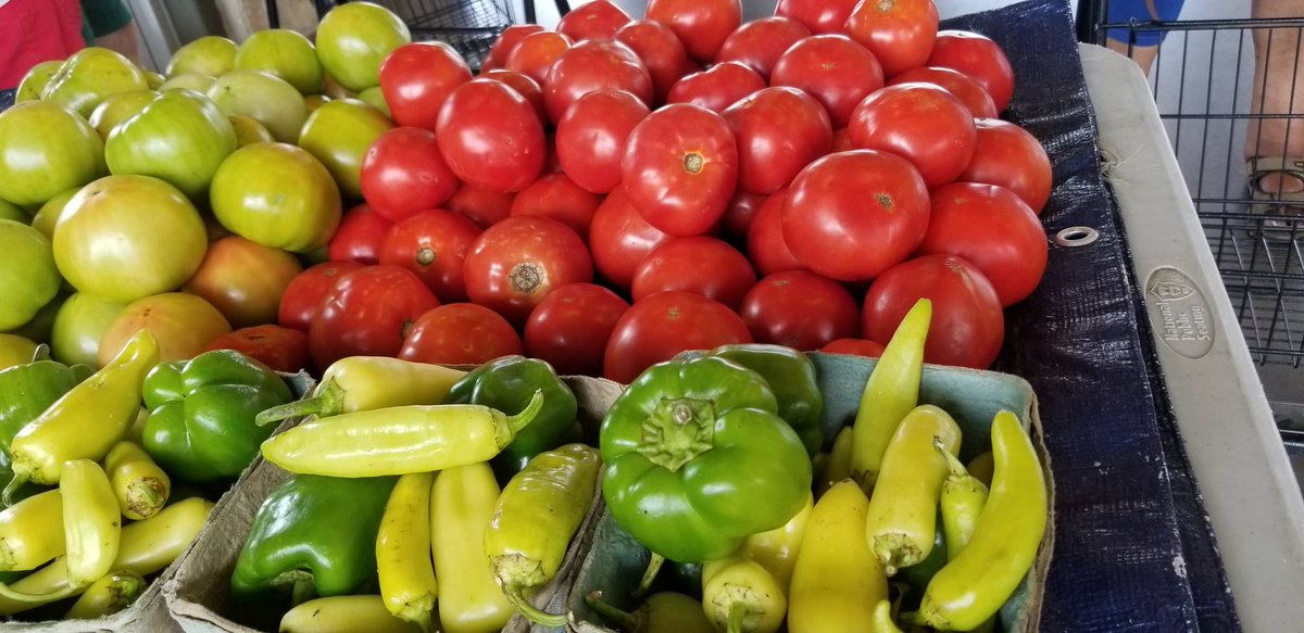 TuscRiverMarket's tweet photo. We've got peppers, tomatoes, squash, and any late summer veggies you can think of! Get yours today!

#alabamaproduce#farmersmarket #shoplocal https://t.co/07a6Xx9YiO