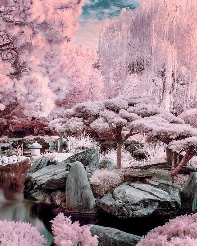 Just Posted New Infrared Art; ift.tt/2JJPxH0 #CreativeIR #Infrared #Photography #InfraredPhotography