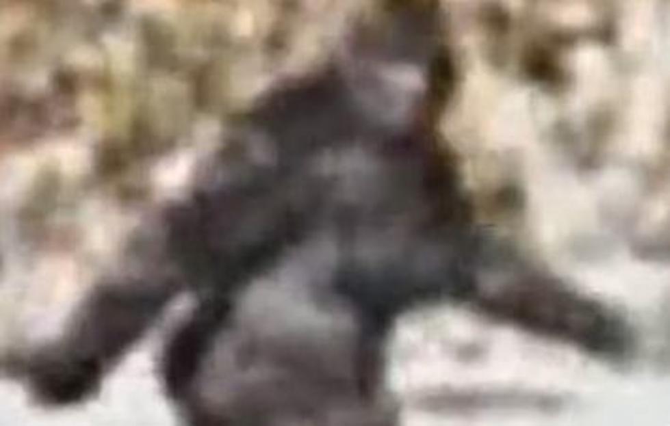 HMS_race's tweet photo. Footage taken with a 2005 Nokia brick phone. The same phone that captured the first sighting of Big Foot. https://t.co/hm0FfEEGnB