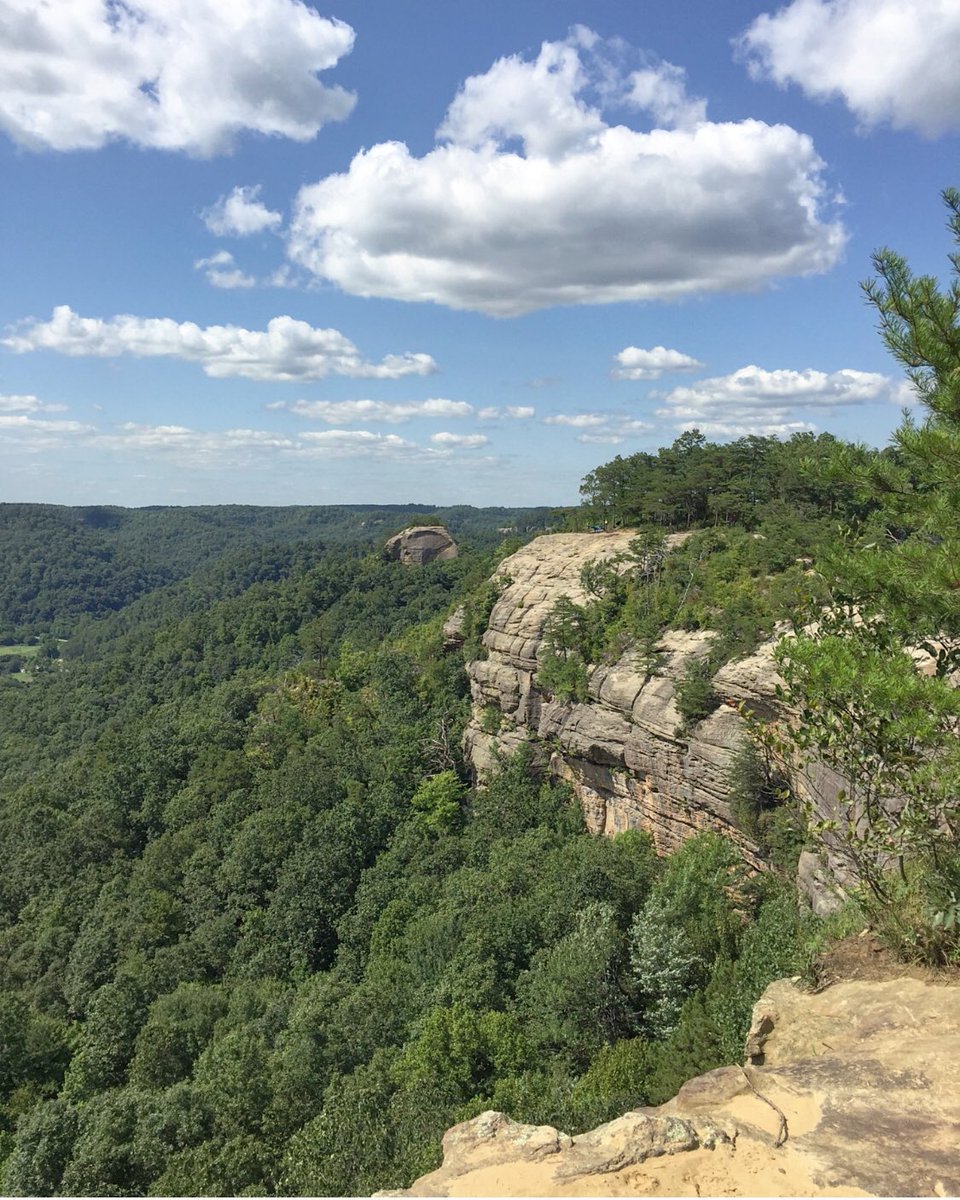 77°, 45% humidity, gorgeous at The Gorge. ☀️🧗‍♀️ #redrivergorge #kywx #kentucky  #wx @Kentuckyweather @JimWKYT @AdamBurnistonWX @StormHour @BluegrassScenes @KentuckyTourism @KYforKY